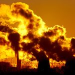 crisis medioambiental