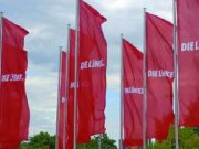 El renacimiento de Die Linke